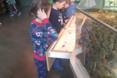 71683788_763175847486400_5466203151042347008_n