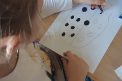 70143459_2426179954293328_2779352214315991040_n