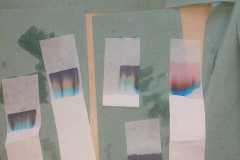 384756340_810797394173418_7583633672067864263_n
