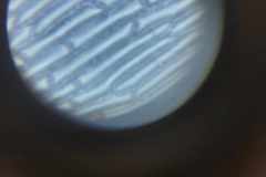 370062361_632759925680969_2227800766887997984_n