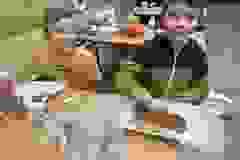 407862846_846057070647450_6909989661046710263_n