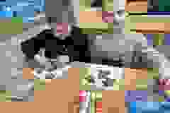 408749888_846057147314109_6408054215165526665_n