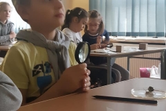 78941599_2860548497312585_5242251581860085760_n