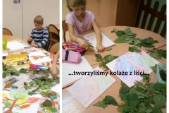 z-lisci