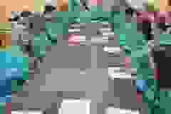 407477669_843589997560824_330371177662644375_n