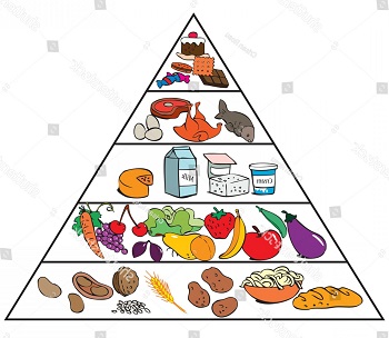 vector-illustration-food-pyramid-kids-cartoon