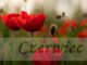 logo czerwca